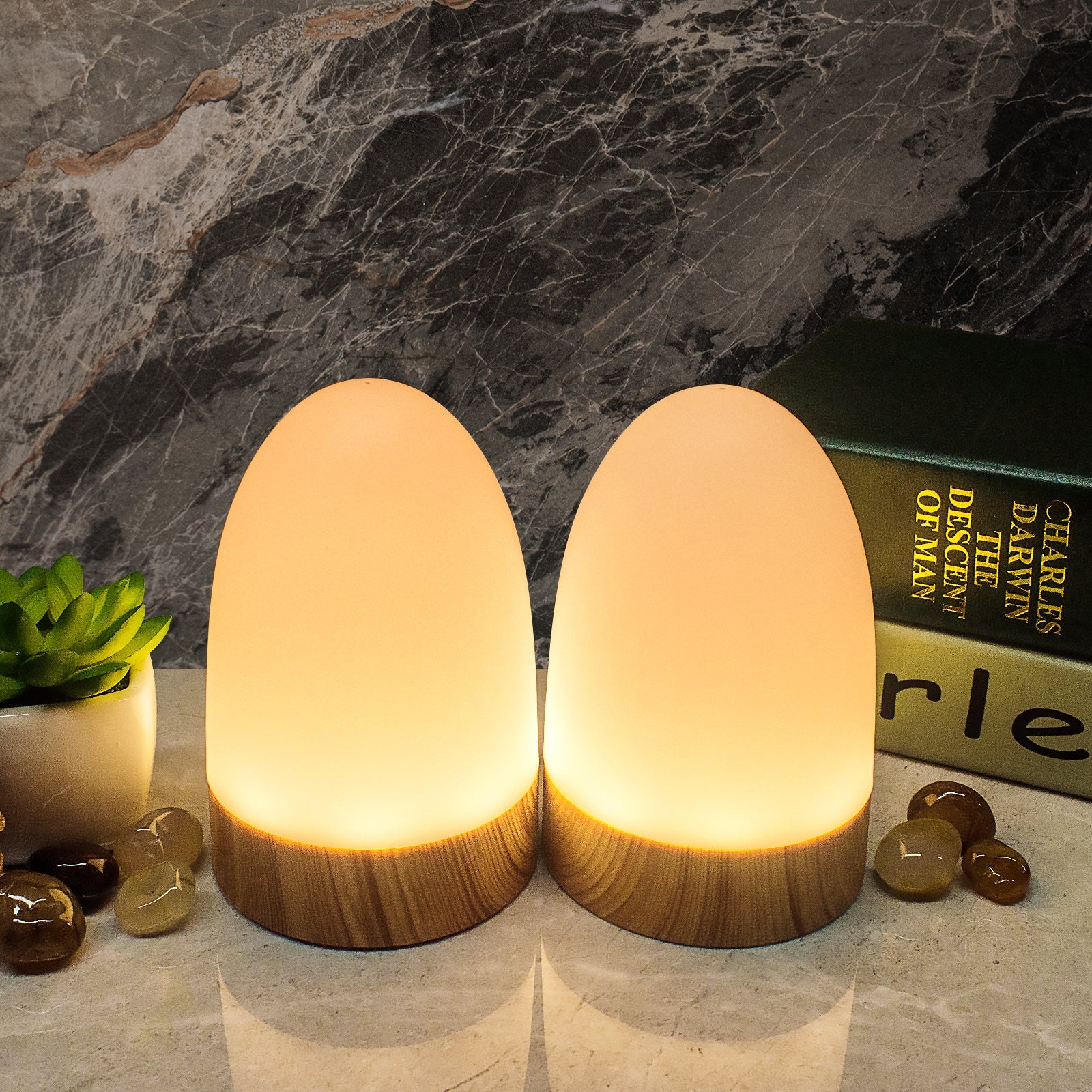 4_f0cbed1d-0766-4382-96fc-c8956c80f70d