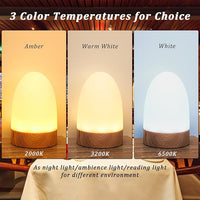 HL Bedside Charging Lamp - Versatile Nightlight for Home, Living Room, Bathroom, Hallway, Camping, and Hotel Use - happinesslight store