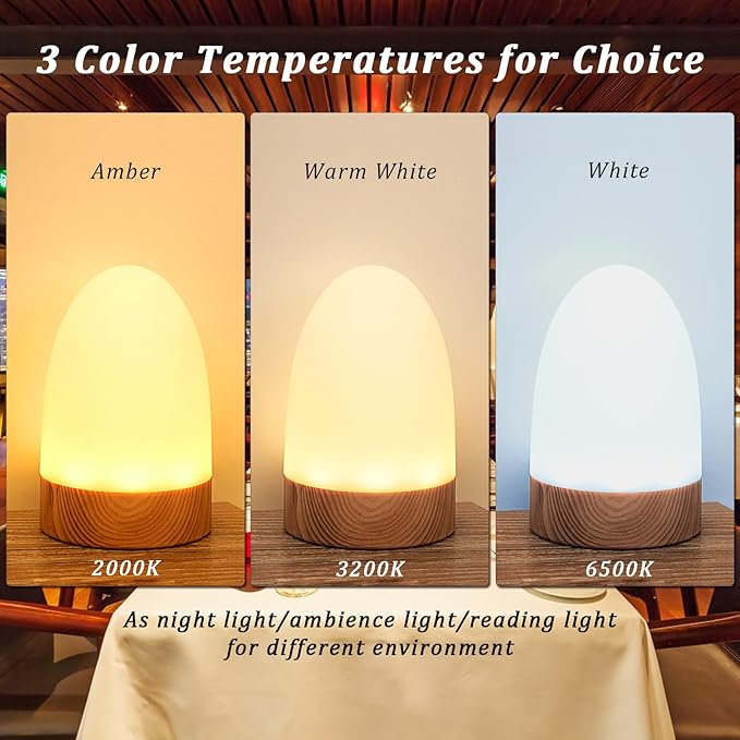 HL Bedside Charging Lamp - Versatile Nightlight for Home, Living Room, Bathroom, Hallway, Camping, and Hotel Use - happinesslight store