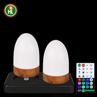 HL Bedside Charging Lamp - Stylish Nightlight for Indoor Plants Low Light, Home, Living Room, Bathroom, Hallway, Camping, and Hotel Use