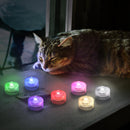 Submersible LED Lights - IP68 Waterproof - Happinesslight