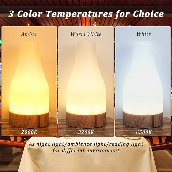 HL Bedside Charging Lamp - Stylish Nightlight for Indoor Plants Low Light, Home, Living Room, Bathroom, Hallway, Camping, and Hotel Use - Happinesslight